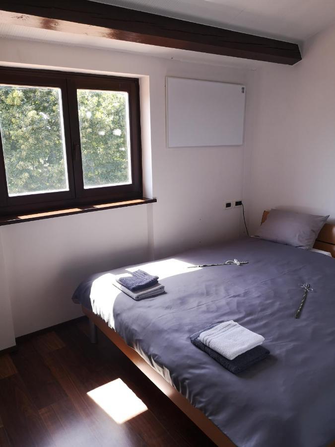 Apartma Rok Plavje エクステリア 写真